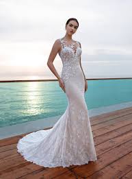 Image result for cosmobella