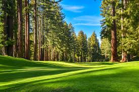 Image result for Teignmouth Golf Club Limited