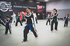 Image result for Championship Martial Arts Winter Springs