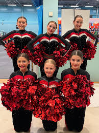 Image result for Derby Diamonds Netball Club