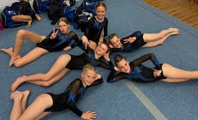 Image result for Hinckley Gymnastics Club