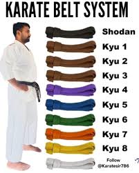 Image result for Kyo Rioku Jutsu