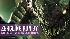 Image result for zergling