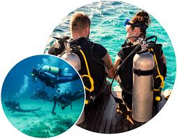 Image result for Dive Crew Scuba Diving
