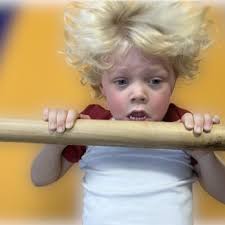 Image result for Pyramid Gymnastics Club