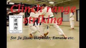 Image result for Hachidori ju-jitsu Martial Arts
