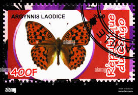 Attēlu rezultāti vaicājumam “Argynnis laodice female”