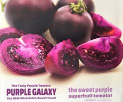 Afbeeldingsresultaat voor 1884 purple tomato