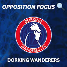 Image result for Dorking Wanderers F C