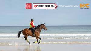 Image result for British Horse Society