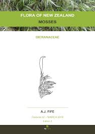 Attēlu rezultāti vaicājumam “Saelania glaucescens sporophyte”