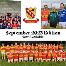 Image result for Moycarkey-Borris Gaa Club
