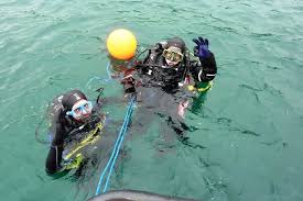 Image result for Richmond Sub-Aqua Club