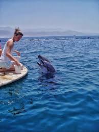 Image result for Belfairs Dolphins Snorkelling Club