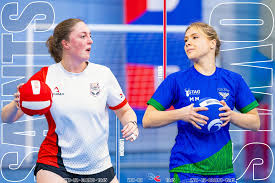 Image result for Leeds Dodge