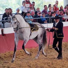 Image result for Palmers Riding Stables