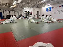 Image result for Halewood Inclusive Judo Club