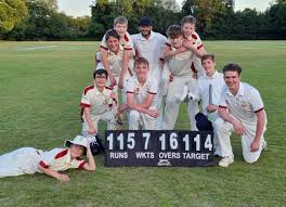Image result for Frimley Cricket Club