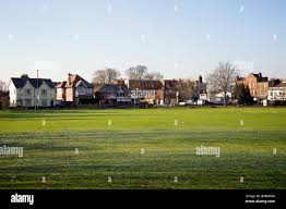 Image result for Mitcham Cricket Club