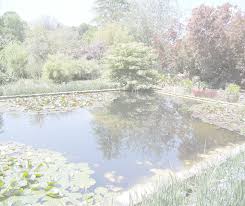 Image result for Biddestone Tennis Club