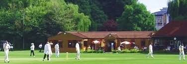 Image result for Woking and Horsell Cricket Club
