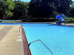 Image result for Feltham Swimming Club