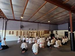 Image result for Newcastle Aikido Club