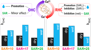 Image result for Cambridge Rhc