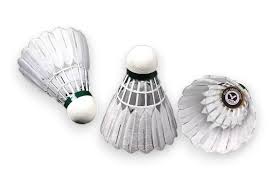 Image result for Shuttles Badminton Club (Frome)