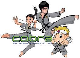 Image result for Cobra Karate Club