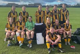 Image result for United in the Community Boston Girls Football