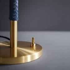 Attēlu rezultāti vaicājumam “Lamproderma debile”