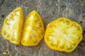 Afbeeldingsresultaat voor blushing yellow tomato