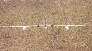 Image result for Blackheath Select Xi Cc, London