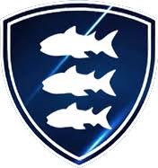 Image result for St Ives Rugby Club