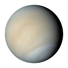 Image result for venus