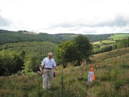 Image result for Ashcombe Valley Archers