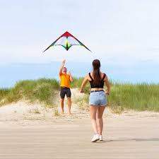 Image result for Mobius Flix Trick & Freestyle Kite Club