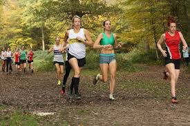 Image result for Epping Runners
