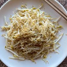 Image result for bean sprout