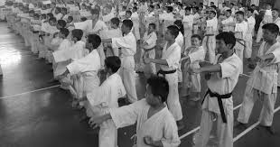 Image result for Newport Kyokushin Karate Club