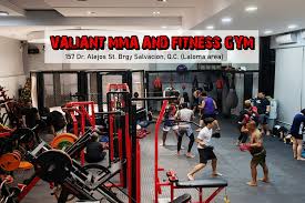 Image result for Valiant Gymnastics Club