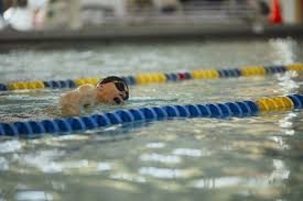 Image result for Greenwich Borough Mariners Swimming Club