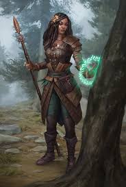 Image result for druid
