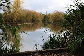 Image result for Penketh & Old Hall Angling Society