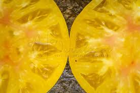 Afbeeldingsresultaat voor blushing yellow tomato