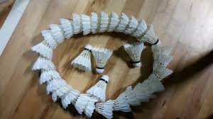 Image result for Guernsey Juniors Badminton Club