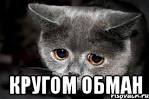 http://t0.gstatic.com/images?q=tbn:ANd9GcRQaO9xOD1M6hj9WTq4OHQNdUG8OaSHH6f0SApStItRebpUvehkTiNr3b0