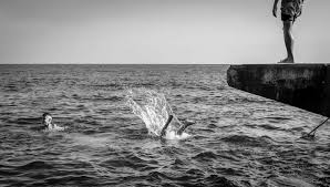 Image result for Stortford Divers