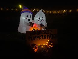 Image result for Carnforth Cricket Club